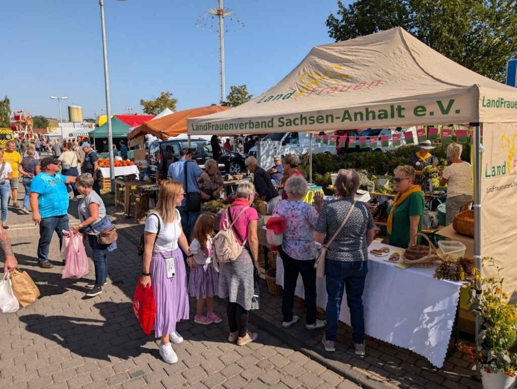 Anbieter für den Bauernmarkt zur „Kleinen Wiese“ gesucht