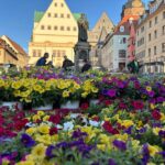 Wenn der Marktplatz erblüht: Blumen- und Pflanzenmarkt in Eisleben