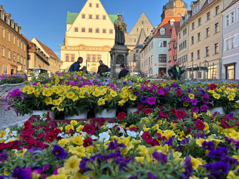 Wenn der Marktplatz erblüht: Blumen- und Pflanzenmarkt in Eisleben