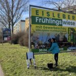 Frühlingswiese – Vorausblick